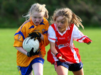 Dublin Ladies Juvenile Finals 2010