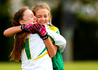 Offaly v WestMeath Leinster FInal 2015