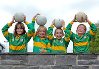 Evening Herald Feature 5th June 2012- St Margarets GAA Club, Grasshoppers/Juvenile Football