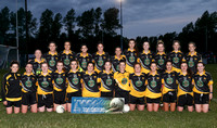 NIA - Dublin Ladies Junior C Final - Na Fianna V St Brendans
