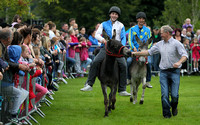 Donkey Derby 2012 Birr, Co Offaly